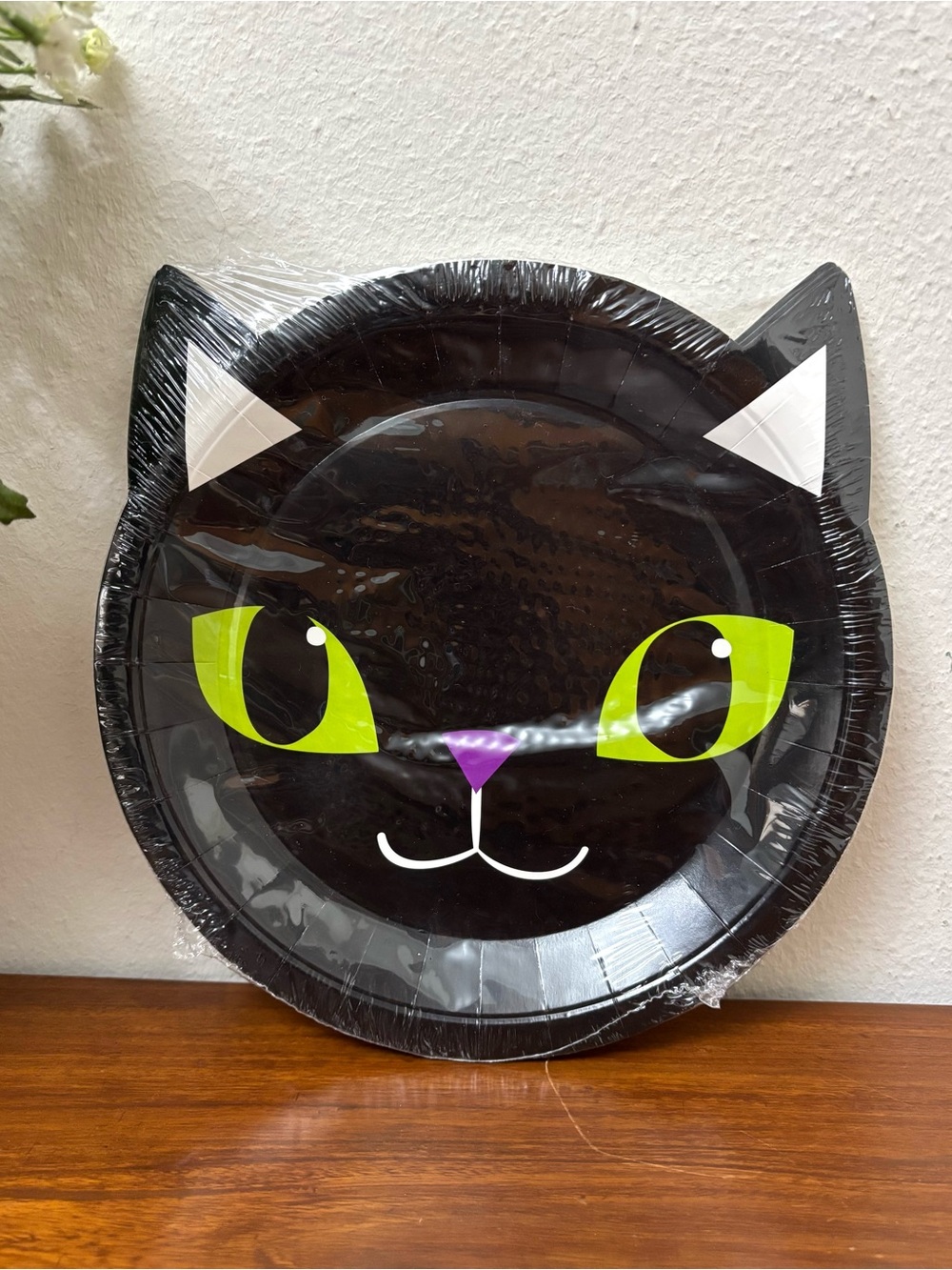 HALLOWEEN WITCH BLACK CAT PAPER PLATE SET OF 10 SPOOKY BOO GHOST SKELETON DECOR